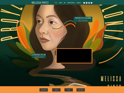 melissapintomusic.com snapshot