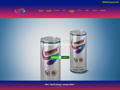 sparkenergy.ie snapshot