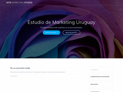 vitamarketingstudio.com snapshot