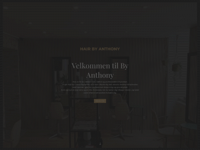 byanthony.dk snapshot