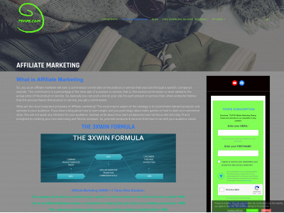 tsvipe.com snapshot