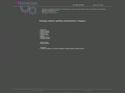 finitechas.lt snapshot