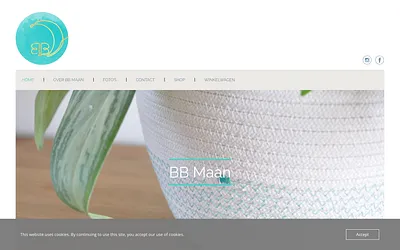 bbmaan.be snapshot