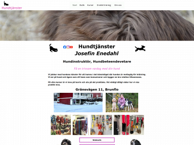 hundtjanster.se snapshot