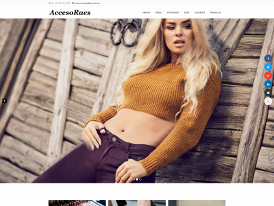 accessoraes.net snapshot