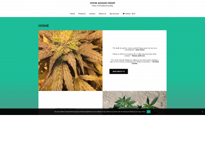 johnadamshemp.com snapshot