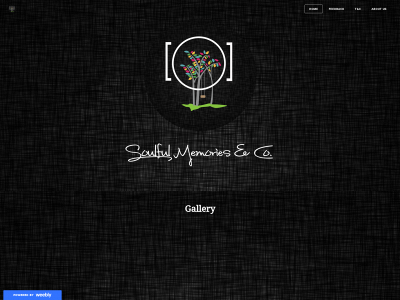 soulfulmemoriesnco.weebly.com snapshot