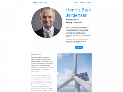 baekconsulting.dk snapshot