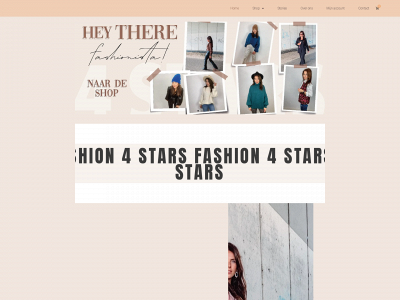 4starsnieuwleusen.nl snapshot