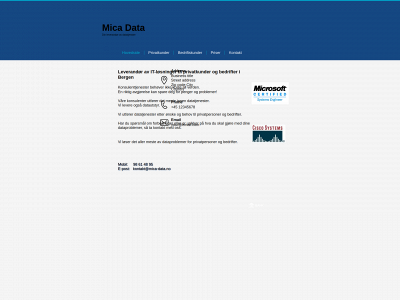 mica-data.no snapshot