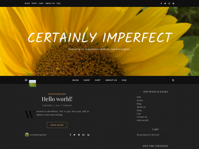 certainlyimperfect.com snapshot