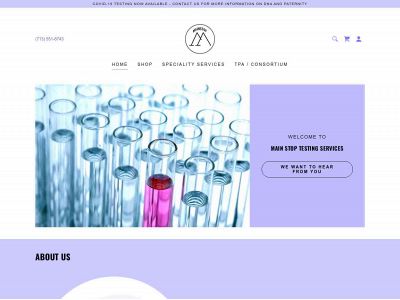 www.testingsvcs.com snapshot