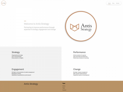 antisstrategy.com snapshot