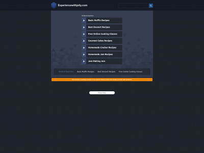 experiencewithjelly.com snapshot