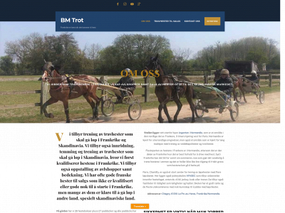 bmtrot.com snapshot