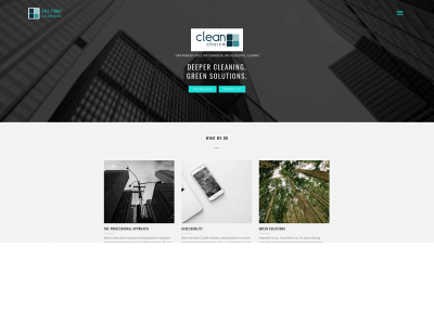 cleanchoicecleaning.com snapshot