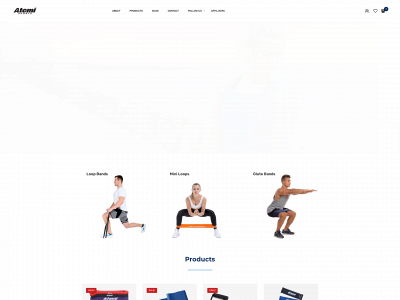 atemi-sports.com snapshot
