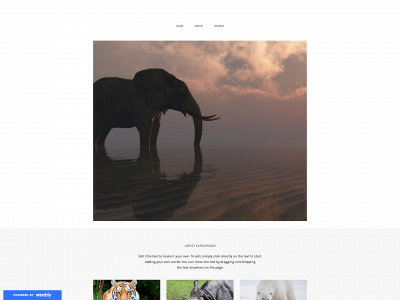 mirror-man.weebly.com snapshot
