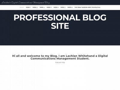 lachlansprofessionalblog.weebly.com snapshot