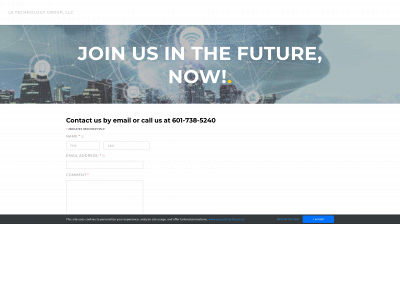 lstechgrp.com snapshot
