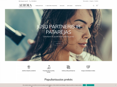 auroraprof.lt snapshot
