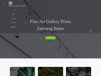 fineartgalleryprints.com snapshot