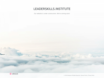 leaderskills.institute snapshot
