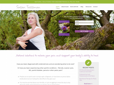 susantessman.com snapshot