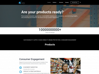 vi3global.com snapshot