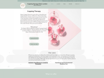 lumierehealthandhijama.co.uk snapshot