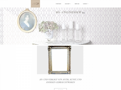 ms-onlineshop24.de snapshot