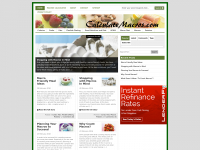 calculatemacros.com snapshot
