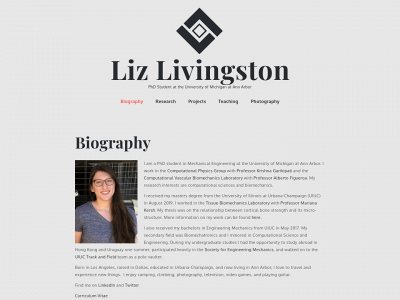 lizliv.com snapshot