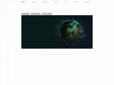 annemariaudsen.com snapshot
