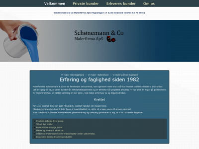 www.schonemannco.dk snapshot