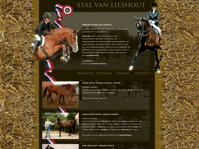 stalvanlieshout.nl snapshot