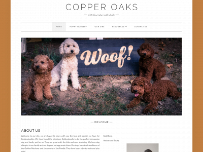copperoaksgoldendoodles.com snapshot