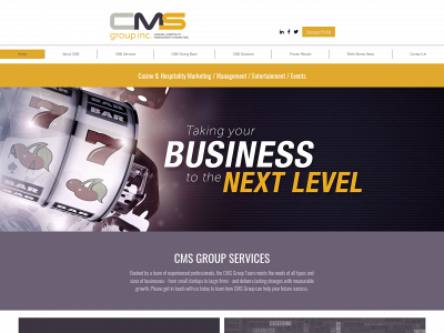 www.cmsgroupinc.com snapshot