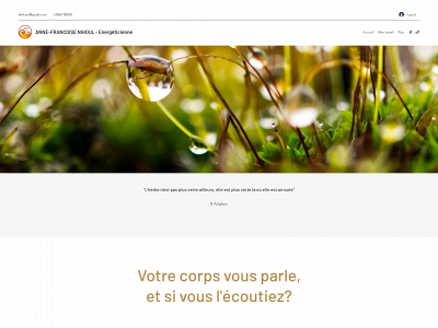 afnihoul.com snapshot