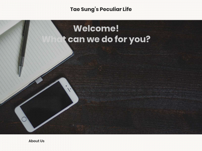taesungslife.com snapshot