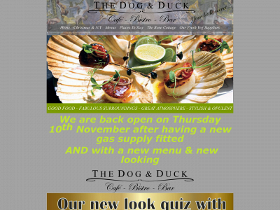 thedogandduck.co snapshot