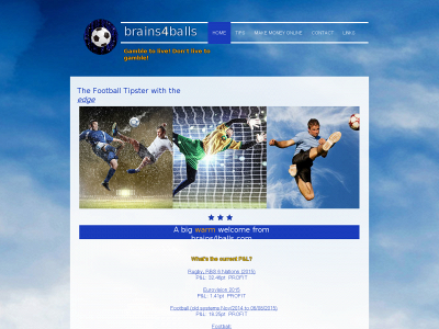 brains4balls.com snapshot