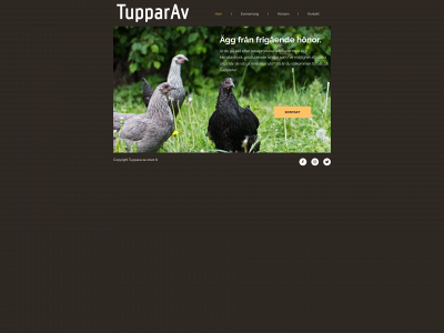 tupparav.se snapshot