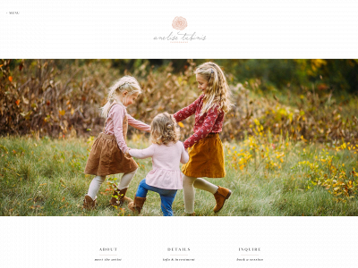 aptubinisphotography.com snapshot