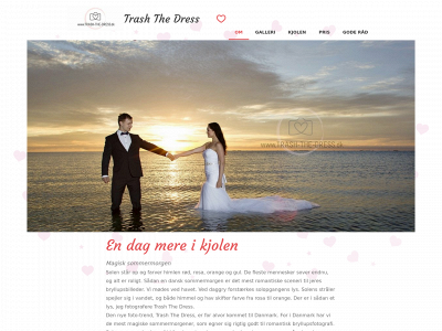 trashthedress.dk snapshot