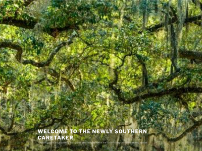 thenewlysoutherncaretaker.net snapshot