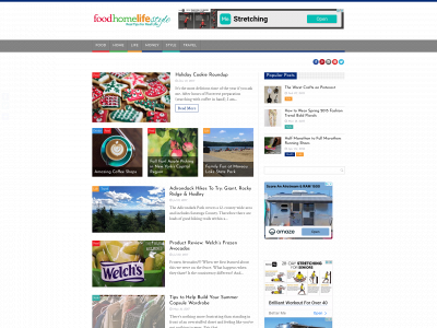 foodhomelifestyle.com snapshot