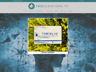 troscriptions.com snapshot