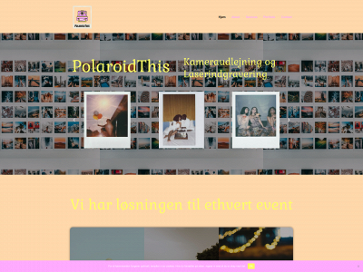 polaroidthis.dk snapshot
