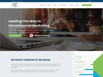 experiture.com snapshot